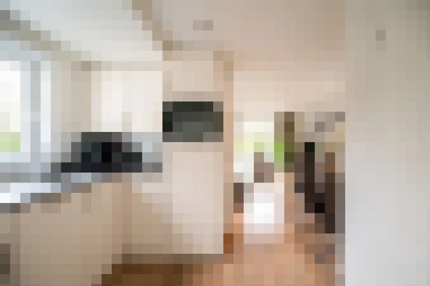 Blekemeer 29 K6 Uddel thumbnail 8