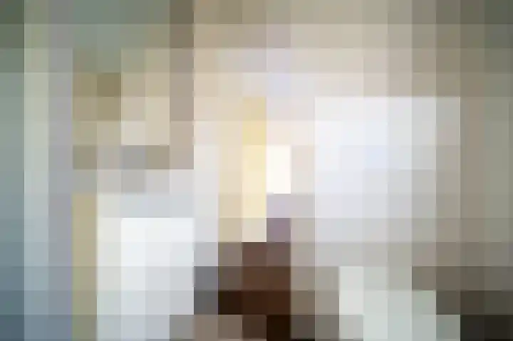 Blekemeer 29 S89 Uddel thumbnail 16