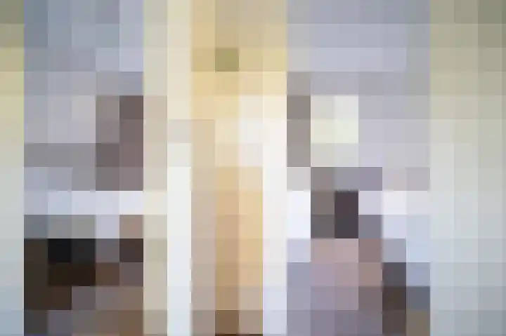 Blekemeer 29 S89 Uddel thumbnail 17