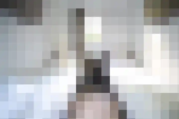 Blekemeer 29 S89 Uddel thumbnail 18
