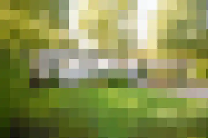Blekemeer 29 S89 Uddel thumbnail 20