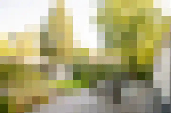 Blekemeer 29 S89 Uddel thumbnail 21