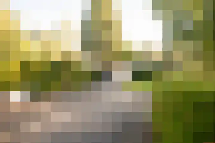 Blekemeer 29 S89 Uddel thumbnail 22