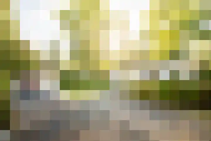 Blekemeer 29 S89 Uddel thumbnail 23