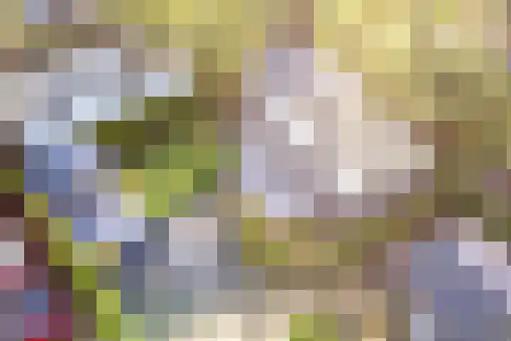 Blekemeer 29 S89 Uddel thumbnail 24