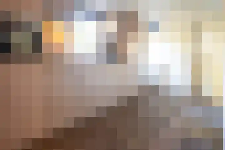 Blekemeer 29 S89 Uddel thumbnail 5