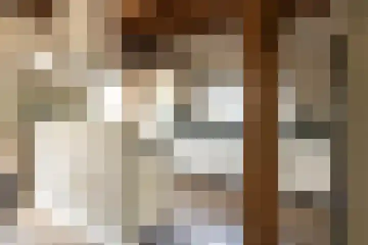 Blekemeer 30 Uddel thumbnail 10