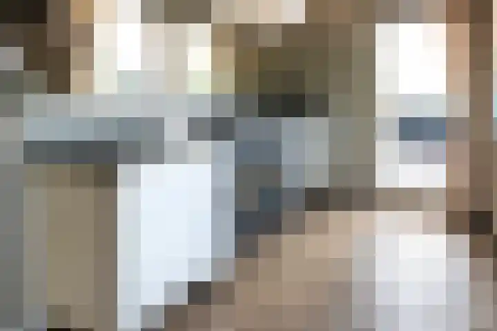 Blekemeer 30 Uddel thumbnail 11