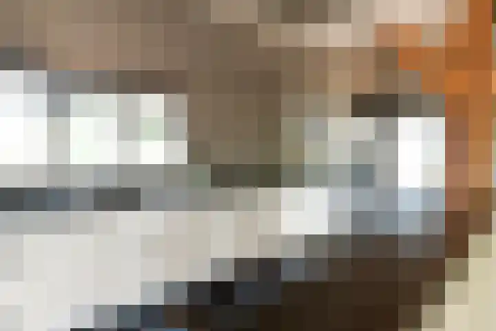 Blekemeer 30 Uddel thumbnail 13