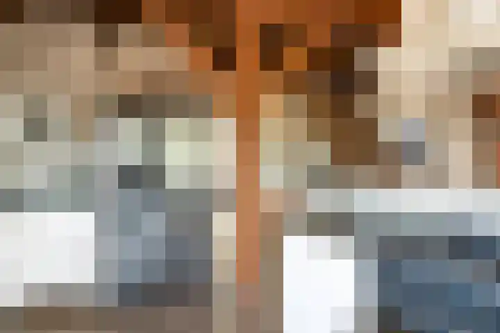 Blekemeer 30 Uddel thumbnail 14