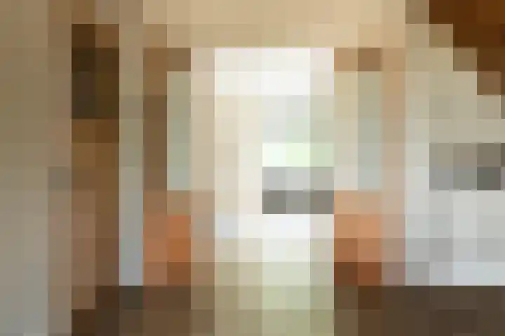 Blekemeer 30 Uddel thumbnail 17