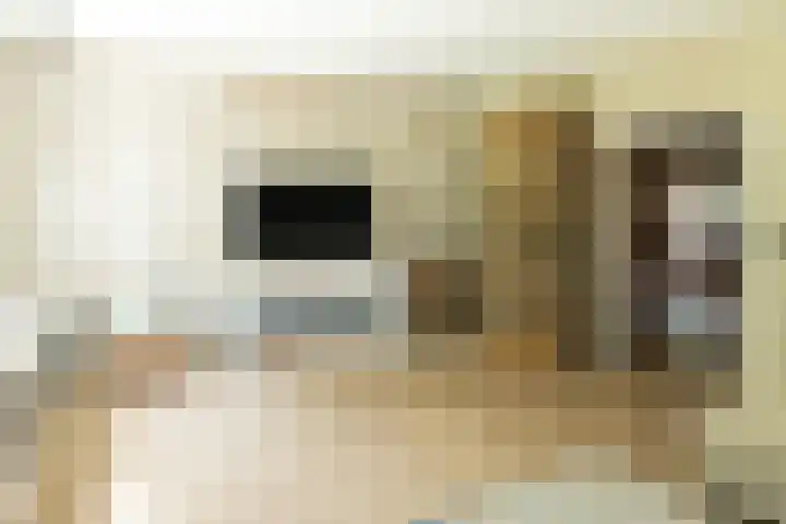 Blekemeer 30 Uddel thumbnail 18