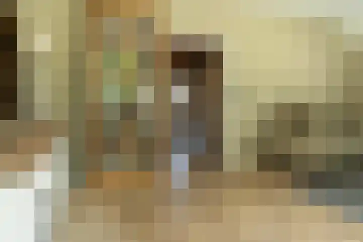 Blekemeer 30 Uddel thumbnail 19