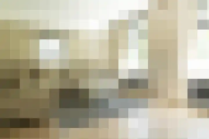 Blekemeer 30 Uddel thumbnail 20