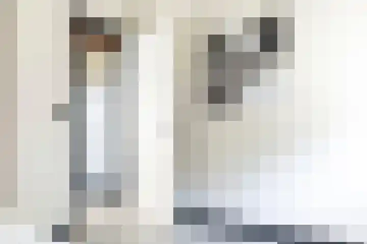 Blekemeer 30 Uddel thumbnail 27