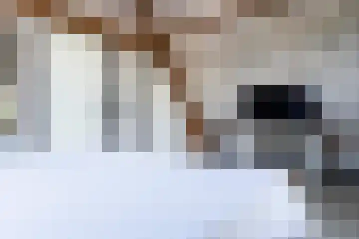Blekemeer 30 Uddel thumbnail 34