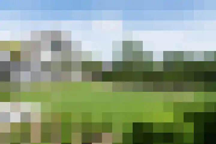 Blekemeer 30 Uddel thumbnail 41