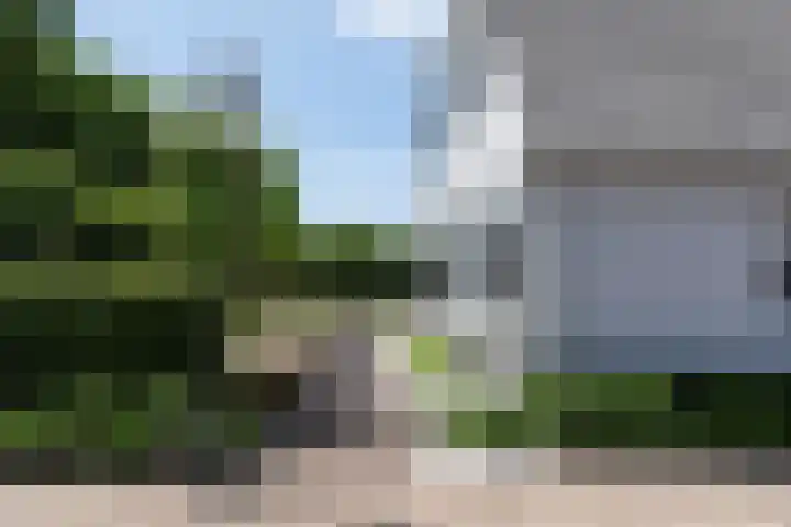 Blekemeer 30 Uddel thumbnail 43