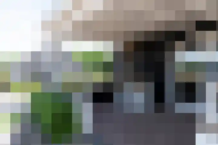 Blekemeer 30 Uddel thumbnail 48