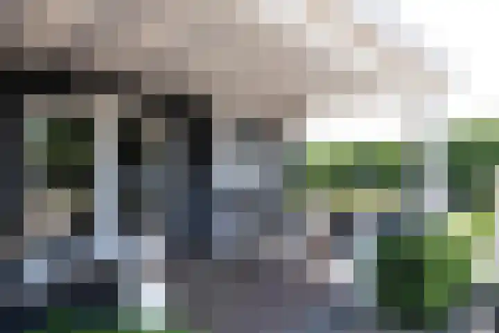 Blekemeer 30 Uddel thumbnail 49