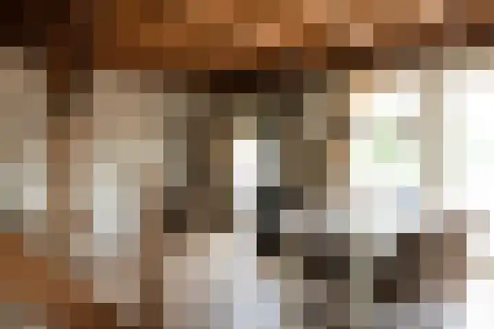 Blekemeer 30 Uddel thumbnail 5