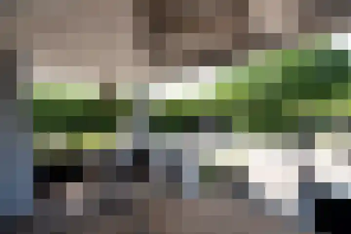 Blekemeer 30 Uddel thumbnail 50