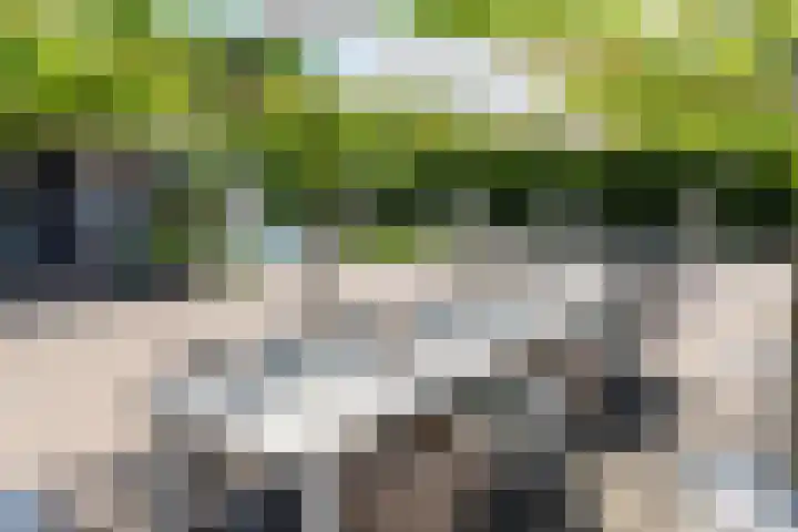 Blekemeer 30 Uddel thumbnail 52