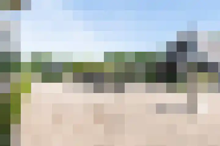 Blekemeer 30 Uddel thumbnail 53