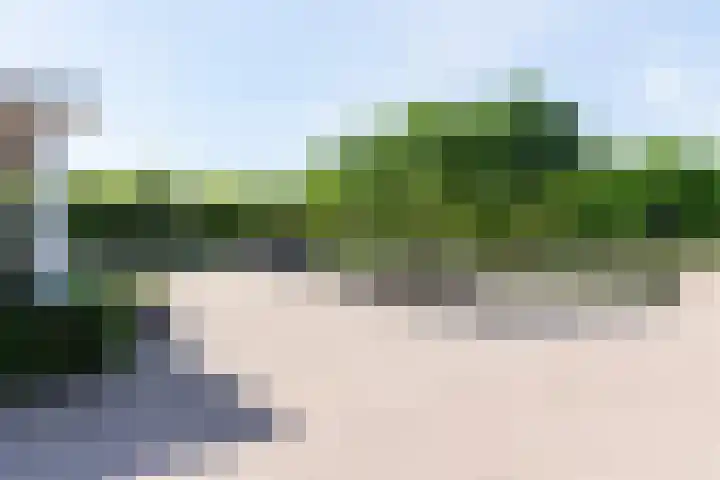 Blekemeer 30 Uddel thumbnail 54