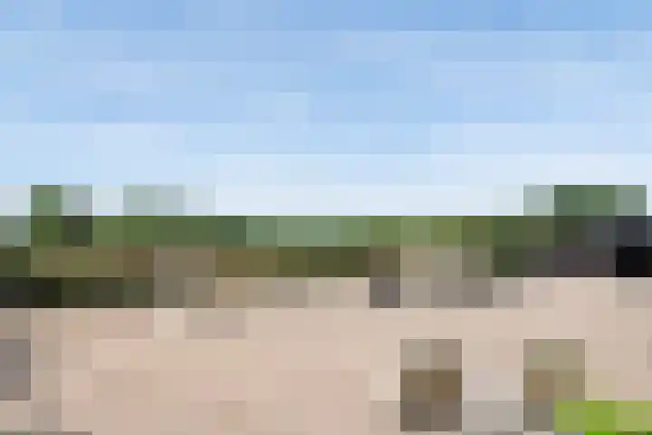Blekemeer 30 Uddel thumbnail 55