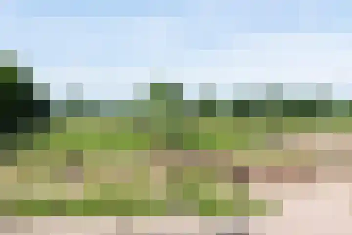 Blekemeer 30 Uddel thumbnail 56