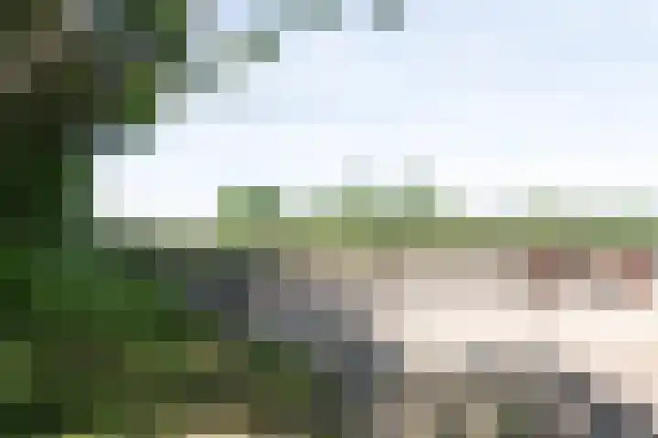 Blekemeer 30 Uddel thumbnail 57