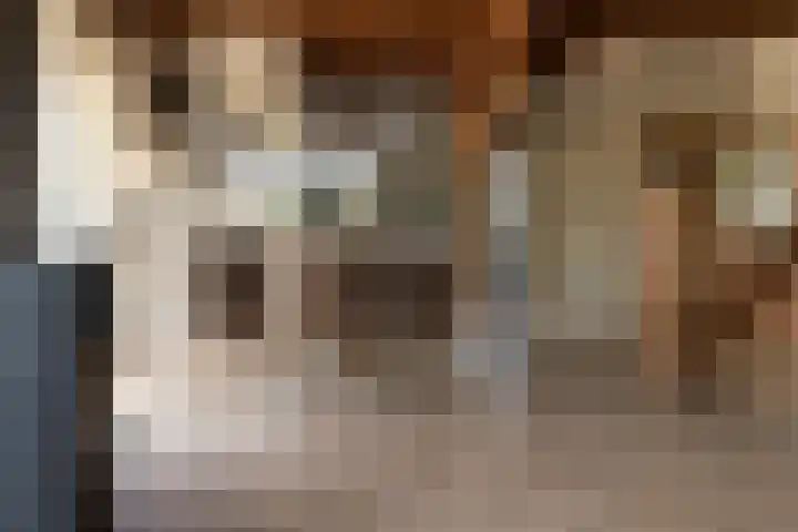 Blekemeer 30 Uddel thumbnail 6