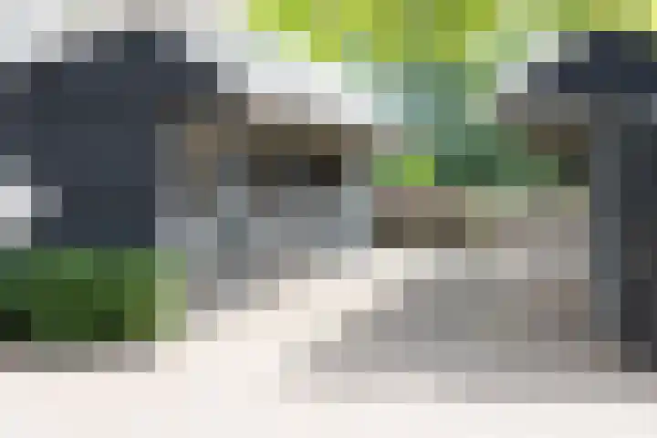 Blekemeer 30 Uddel thumbnail 61