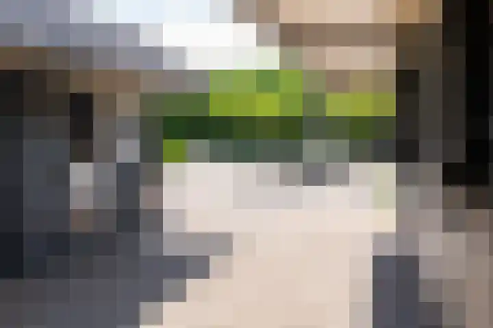 Blekemeer 30 Uddel thumbnail 64