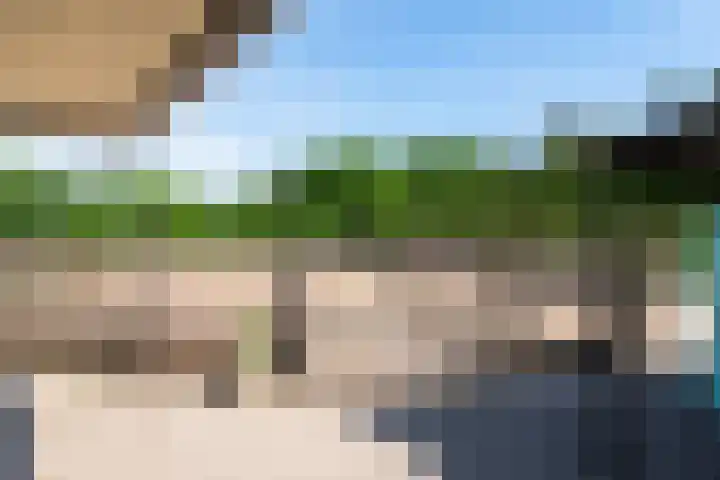 Blekemeer 30 Uddel thumbnail 65
