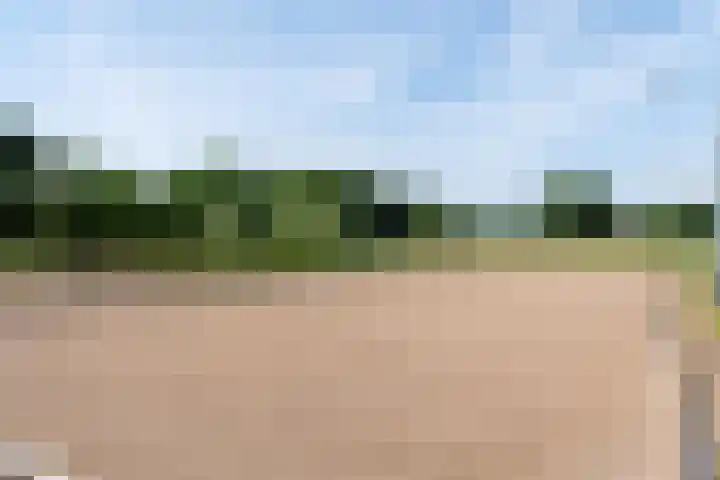 Blekemeer 30 Uddel thumbnail 67
