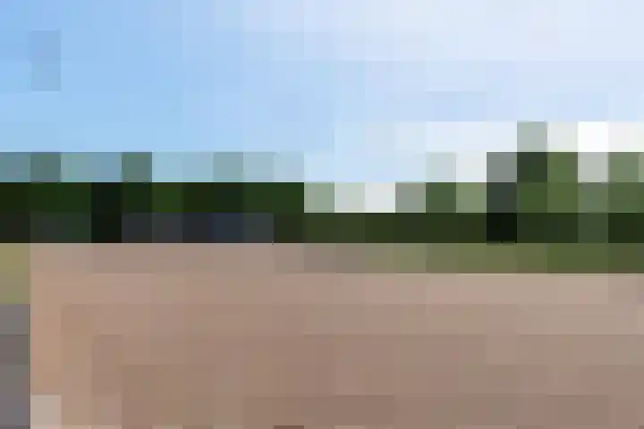 Blekemeer 30 Uddel thumbnail 68