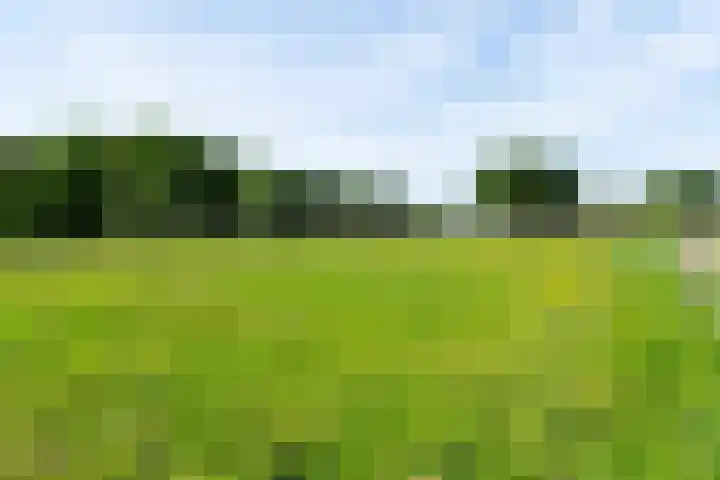 Blekemeer 30 Uddel thumbnail 69
