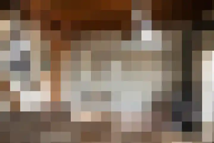 Blekemeer 30 Uddel thumbnail 7