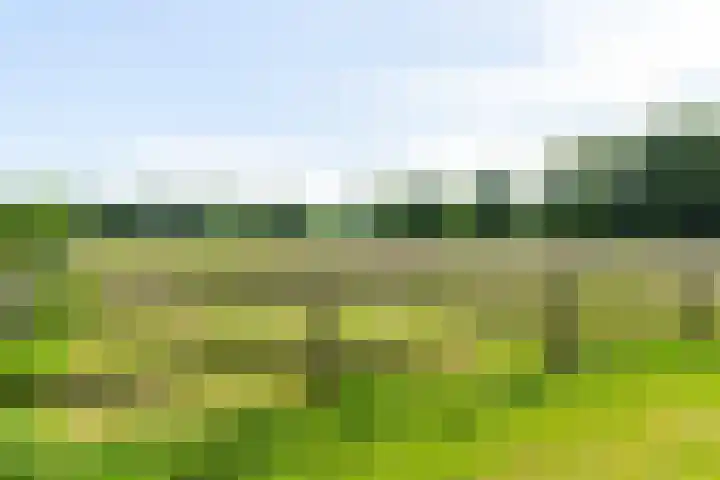 Blekemeer 30 Uddel thumbnail 70