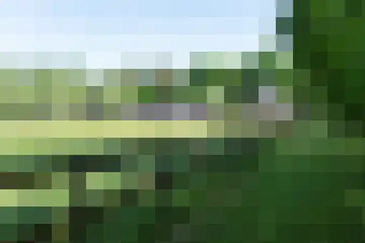 Blekemeer 30 Uddel thumbnail 71