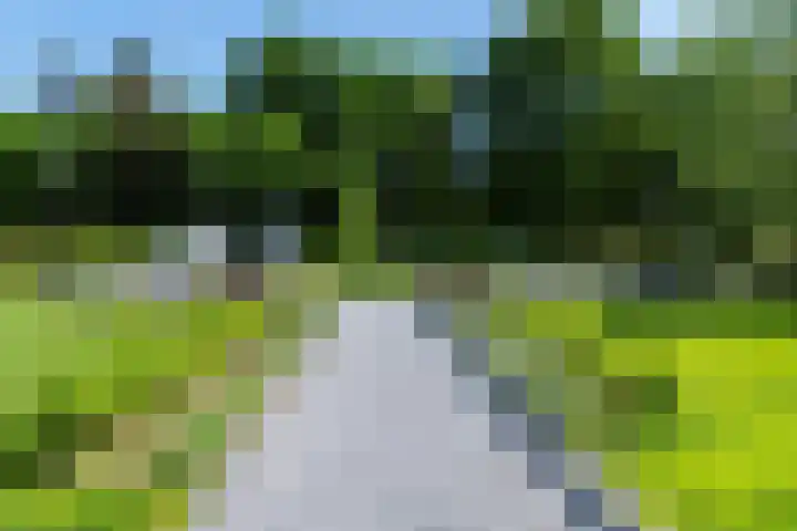 Blekemeer 30 Uddel thumbnail 72