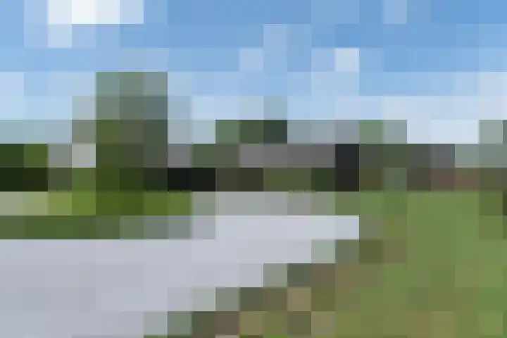 Blekemeer 30 Uddel thumbnail 74