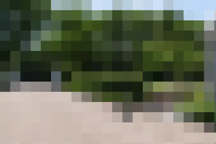 Blekemeer 30 Uddel thumbnail 76