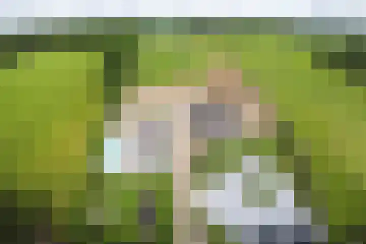 Blekemeer 30 Uddel thumbnail 77