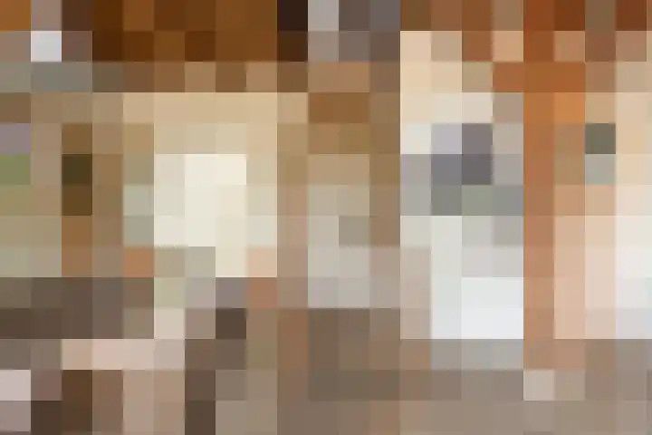 Blekemeer 30 Uddel thumbnail 9
