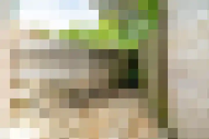 Blekenbergstraat 2 Haarlem thumbnail 14