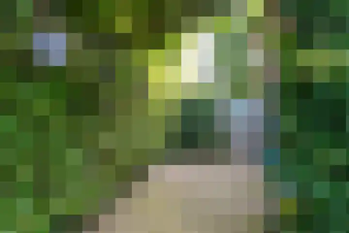 Blekenweg 116 Haren Gn thumbnail 57