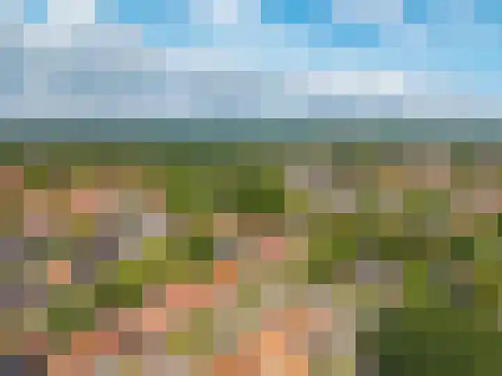 Blekenweg 116 Haren Gn thumbnail 63